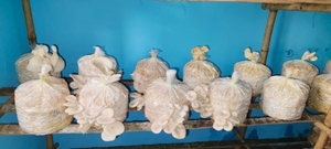 ഫോട്ടോ 2