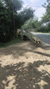 படம் 2