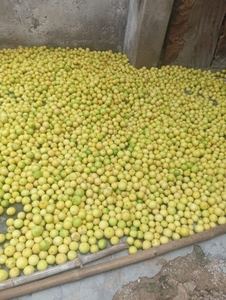 எலுமிச்சை