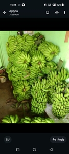 வாழைப்பழம்