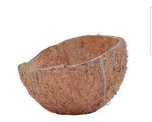 ತೆಂಗಿನಕಾಯಿ ಚಿಪ್ಪು