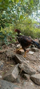 ഫോട്ടോ 2