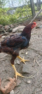 ഫോട്ടോ 3