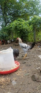 ഫോട്ടോ 4