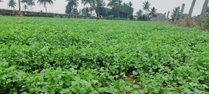 ఫోటో 2