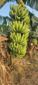ಫೋಟೋ 3