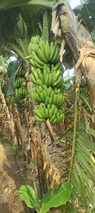 ಫೋಟೋ 4