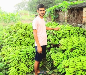 Banana
