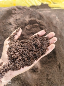 ഫോട്ടോ 2