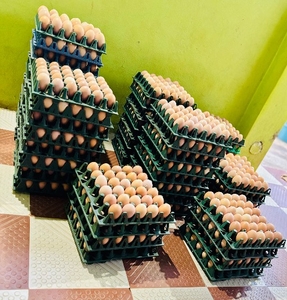 గుడ్లు