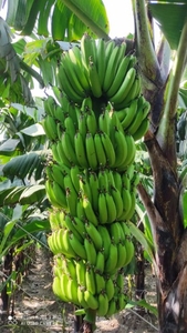 படம் 2