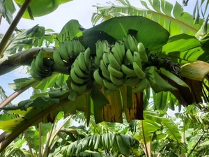 ಫೋಟೋ 2