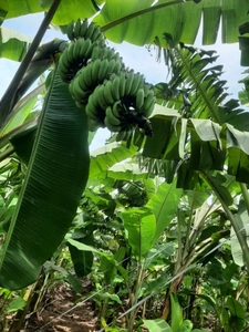 ಫೋಟೋ 3