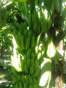 ಫೋಟೋ 2