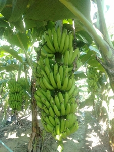 ಫೋಟೋ 3