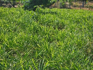 படம் 2