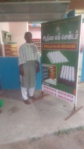 గుడ్డు