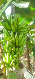 ಫೋಟೋ 4