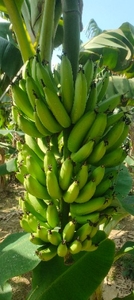 ಫೋಟೋ 5