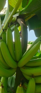 ఫోటో 2