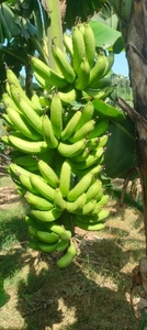 ఫోటో 3