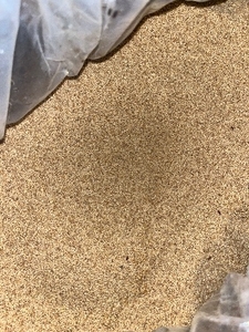 ಫೋಟೋ 3