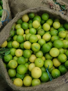ಫೋಟೋ 2