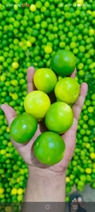 ಫೋಟೋ 3