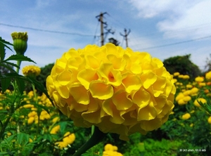 ഫോട്ടോ 2