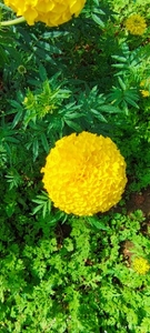 ഫോട്ടോ 3