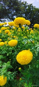 ഫോട്ടോ 4