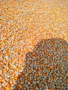 മക്ക