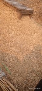ധാൻ
