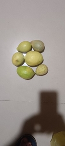नींबू
