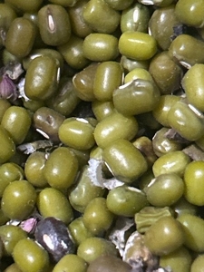 మూంగ్