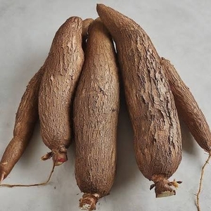 മരച്ചീനി