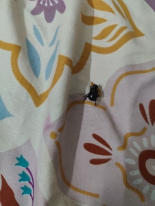 படம் 2