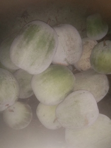 മത്തങ്ങ