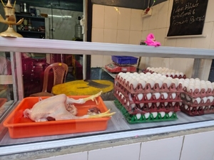 ಕೋಳಿ