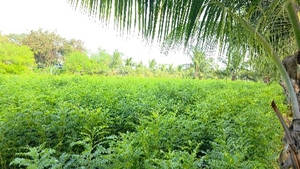 படம் 2