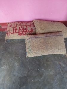 ഉരുളക്കിഴങ്ങ്