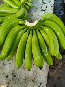 అరటిపండు