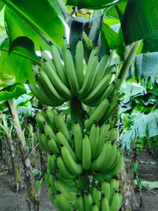 ಫೋಟೋ 3