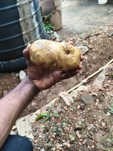 ಫೋಟೋ 2
