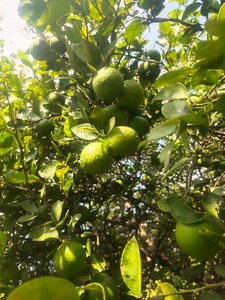 ಫೋಟೋ 3