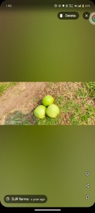 படம் 4