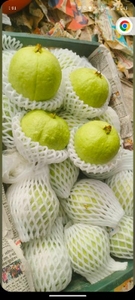 படம் 5
