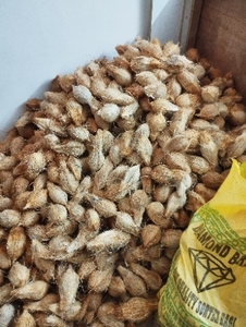 ಫೋಟೋ 3