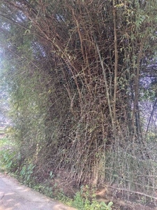 ഫോട്ടോ 2
