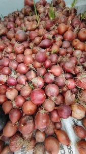 படம் 2